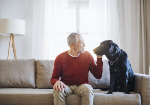 A senior man sitting on a sofa indoors with a pet dog at home.