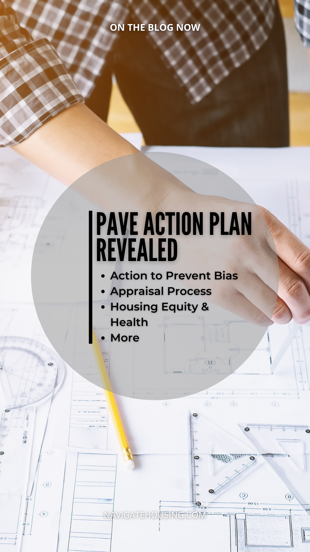 PAVE Action Plan