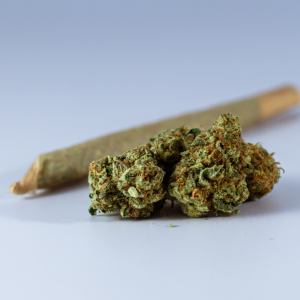 Substance Abuse in Housing